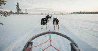 The Power of Coopetition