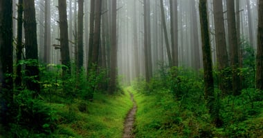 Don’t Wait for Certainty