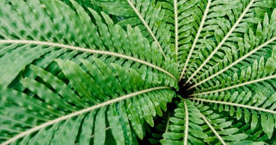 Human-Centered Growth: My Conversation on The Entrepreneur’s Studio