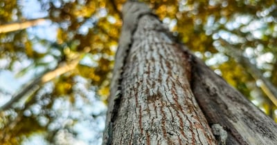 How Great Leaders Turn Fear into Focus