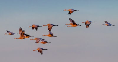 Your Guide to Building Trust in High-Performing Teams — and Keeping It