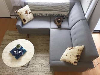 Disrupting the Furniture Industry