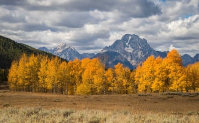 Grand Teton National Park