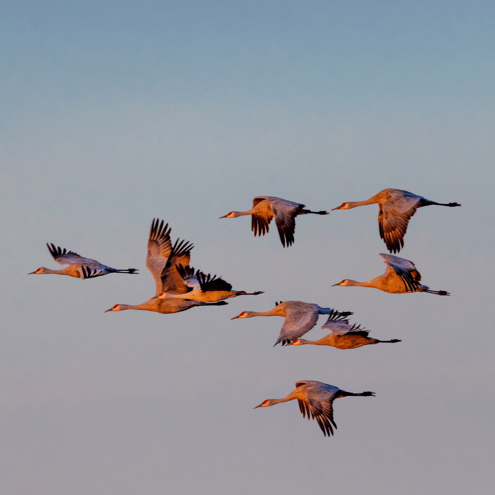 Your Guide to Building Trust in High-Performing Teams-min