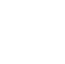 New York Life